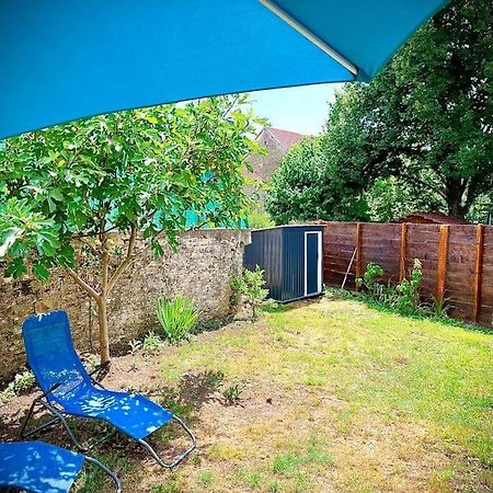 Tres Bel Appartement Avec Jardin Et Jacuzzi Scey-sur-Saone-et-Saint-Albin Exterior foto