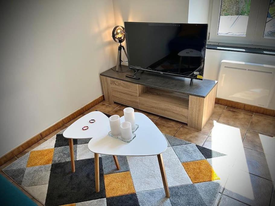 Tres Bel Appartement Avec Jardin Et Jacuzzi Scey-sur-Saone-et-Saint-Albin Exterior foto